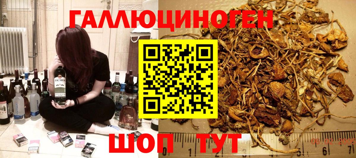 Галлюциногенные грибы ЛСД Кулебаки