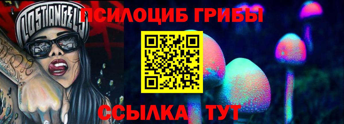 Галлюциногенные грибы прущие грибы  Вход с VPN  Кулебаки 